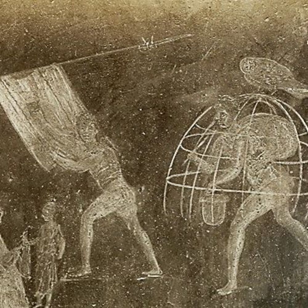 Meet your Posher, Frances